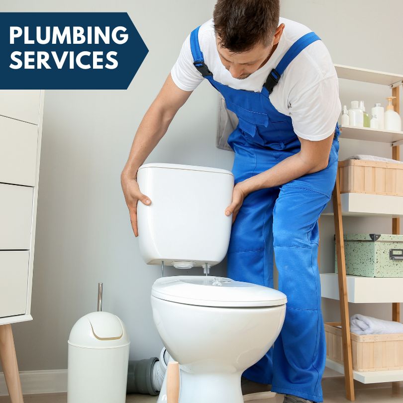 Plumbing Company in Elk Grove Village, IL